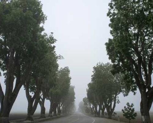 Swatch MoonSwatch Mission To Earthphase Moonshine Gold Cold Moon: Price, Specs, Availability