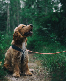 StorySeeker